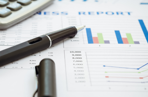 Pen and budget materials for budget