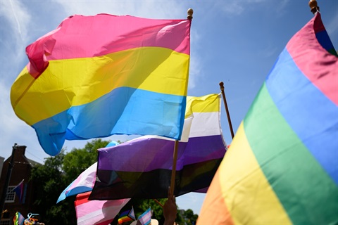 Pride Flags in Chapel Hill