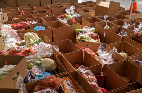 Boxes of food at food distribution