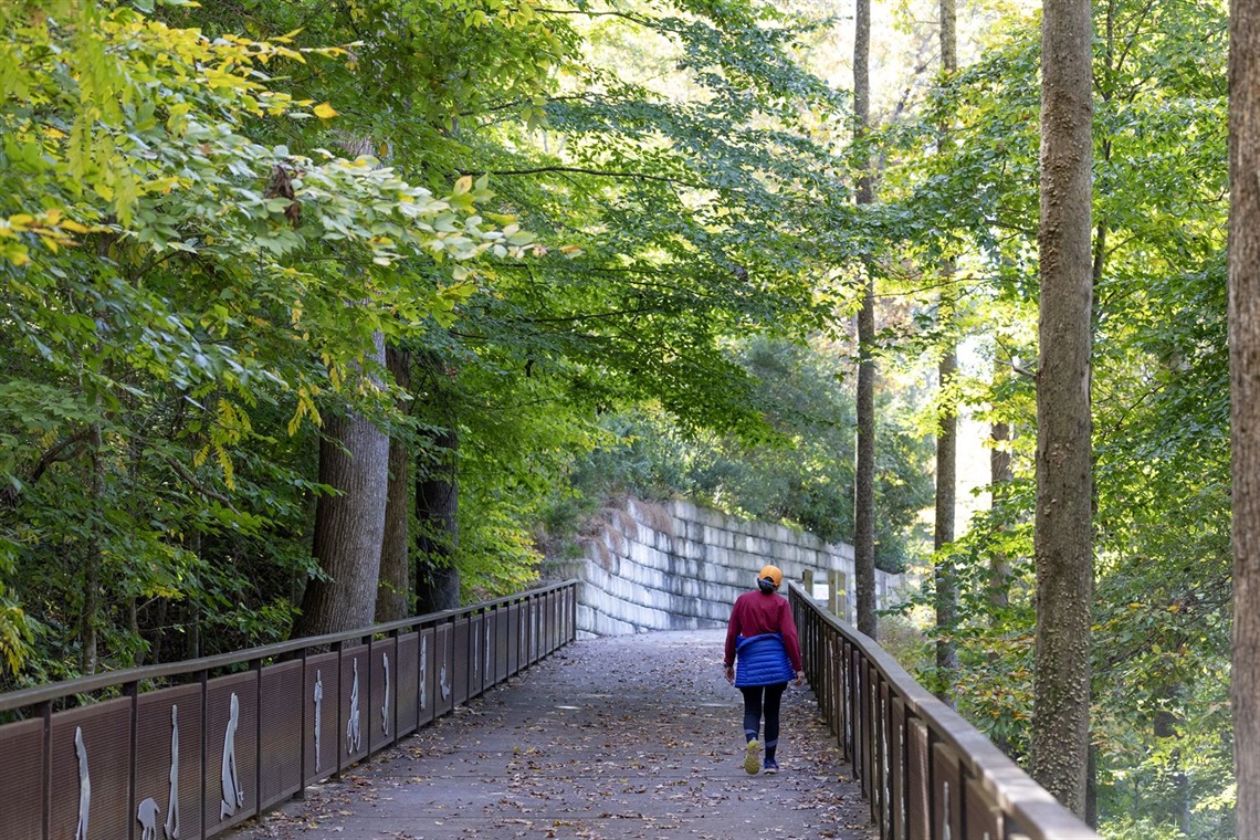 Tanyard Branch Trail 